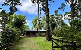 Casa en el bosque de Costa del Este